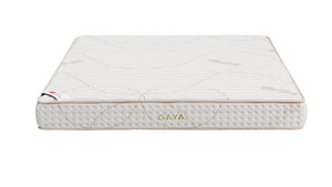 Στρώμα Gaya της Zymmo